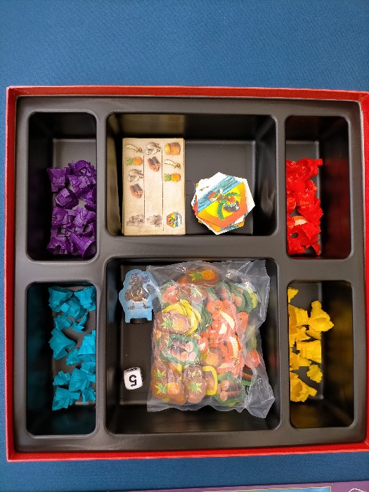 catan junior